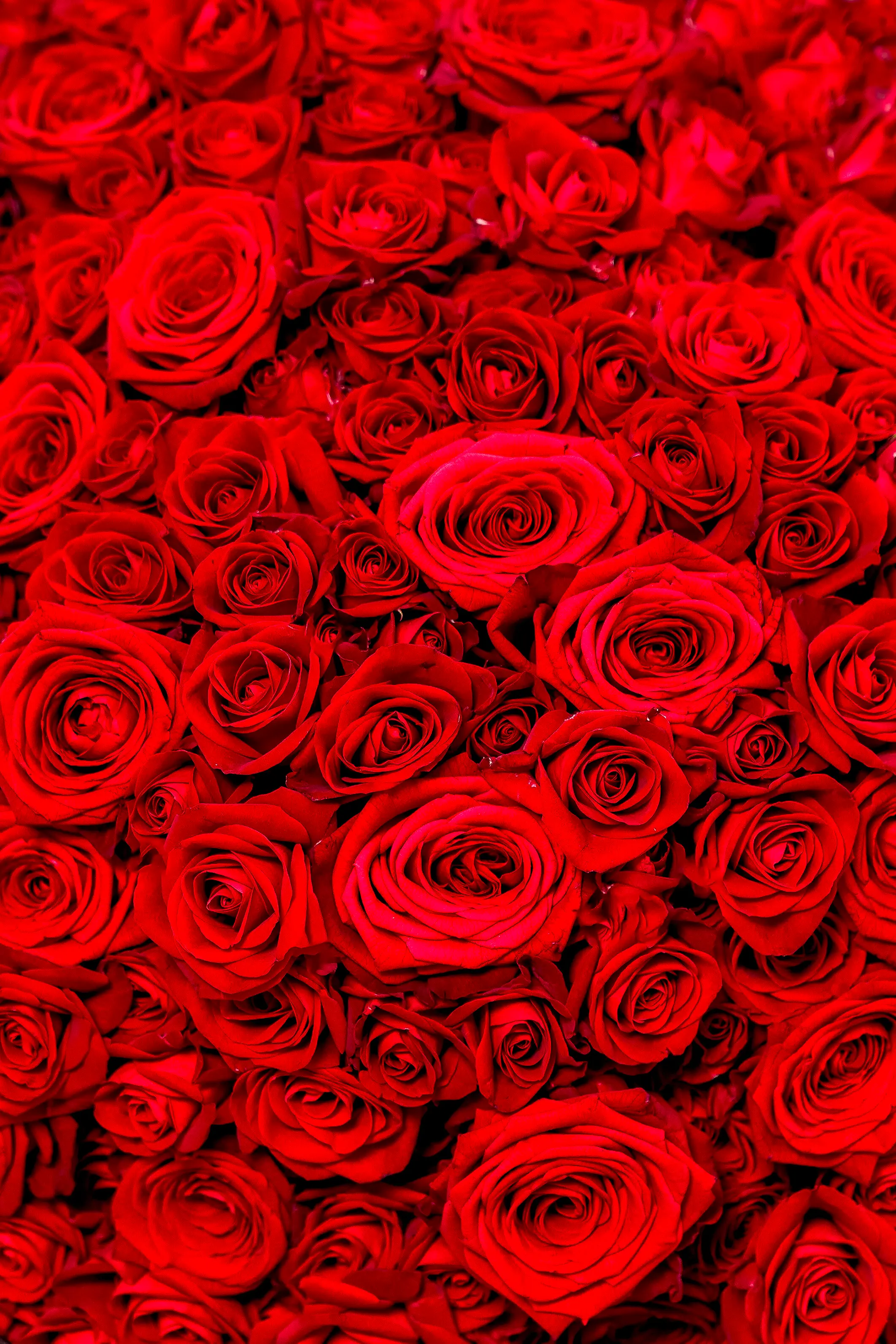 Bouquet prestige dans un vase en verre rouge