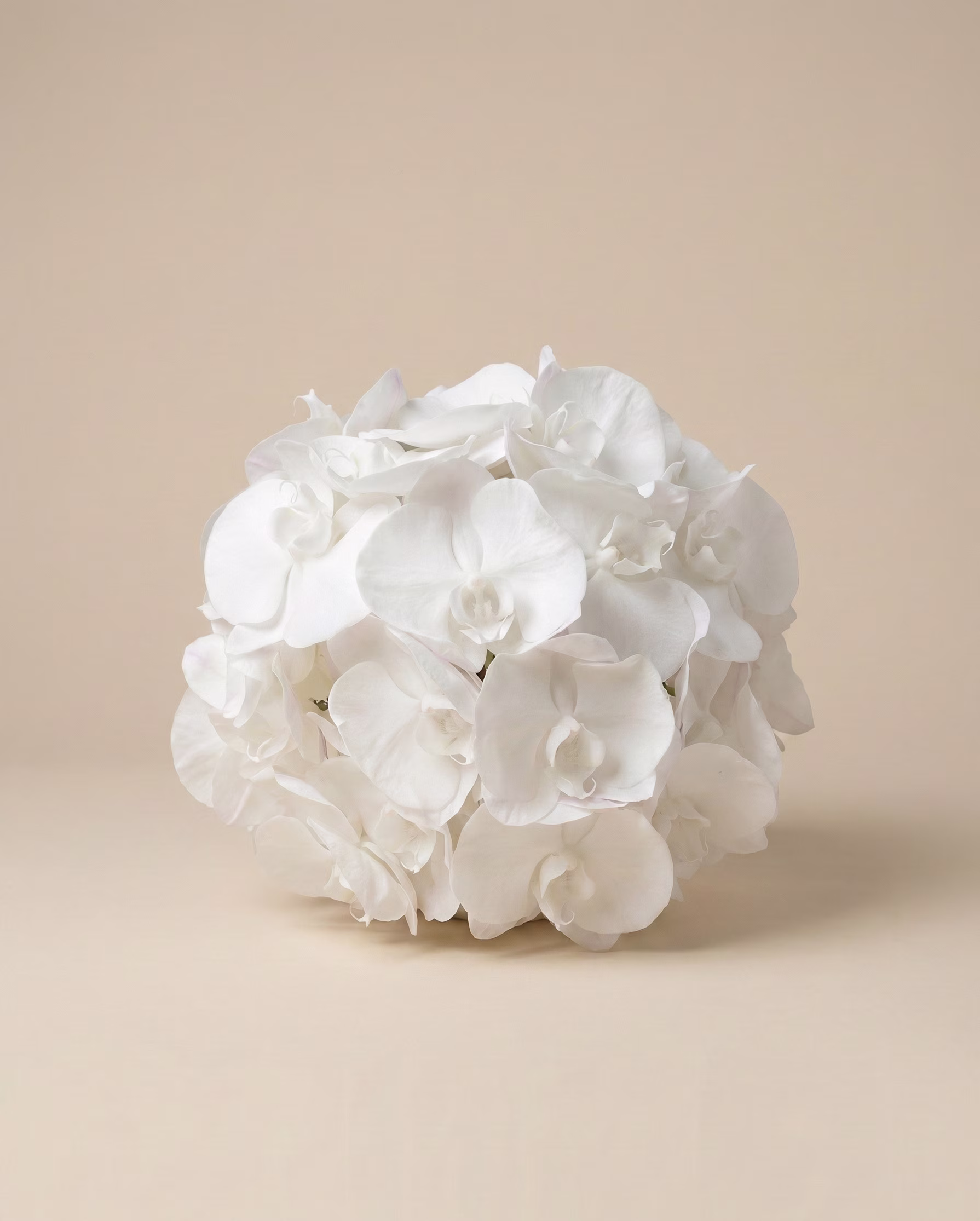 Bouquet L’Infini orchidées blanches Phalaenopsis composition florale luxe minimaliste